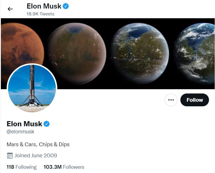 Perfil Elon Musk