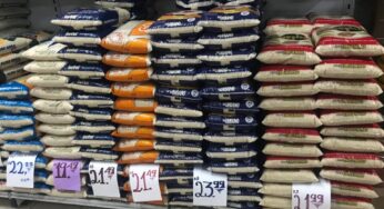 Preço do arroz já está mais caro na região metropolitana de BH