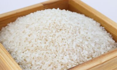Leilão do arroz: PF vai investigar irregularidades