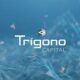 Trígono Capital lança fundo de crédito privado e amplia oferta no segmento