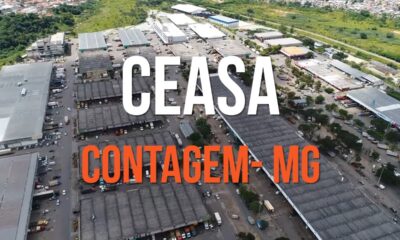 Ceasa Minas tem privatização cancelada. Veja motivo