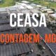 Ceasa Minas tem privatização cancelada. Veja motivo