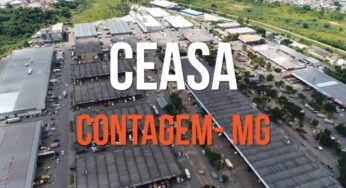 Ceasa Minas tem privatização cancelada. Veja motivo