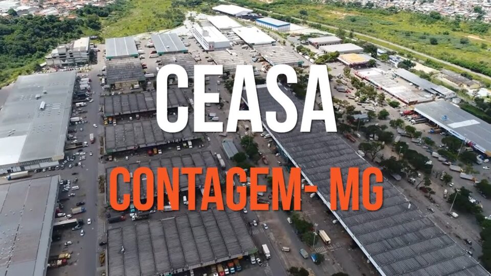 Ceasa Minas tem privatização cancelada. Veja motivo